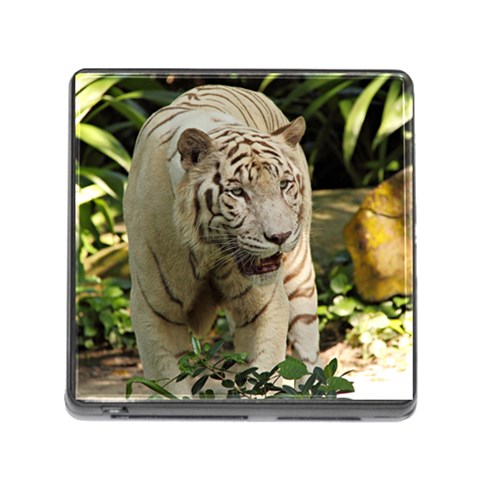 Tiger 2 Memory Card Reader with Storage (Square) from ArtsNow.com Front