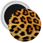 Cheetah 3  Magnet