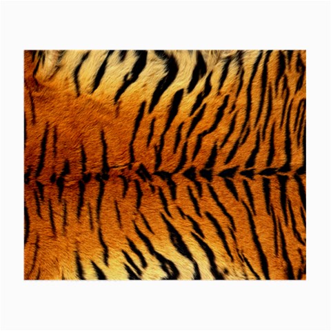 Tiger Glasses Cloth (Small, Two Sides) from ArtsNow.com Front