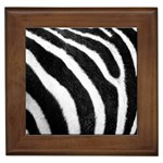 Zebra Framed Tile