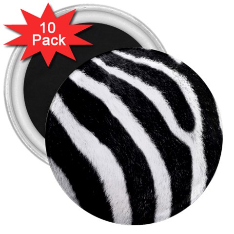 Zebra 3  Magnet (10 pack) from ArtsNow.com Front