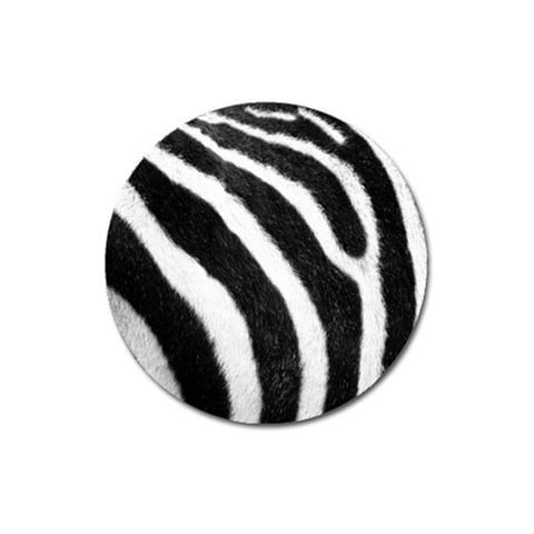 Zebra Magnet 3  (Round) from ArtsNow.com Front