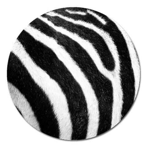 Zebra Magnet 5  (Round) from ArtsNow.com Front