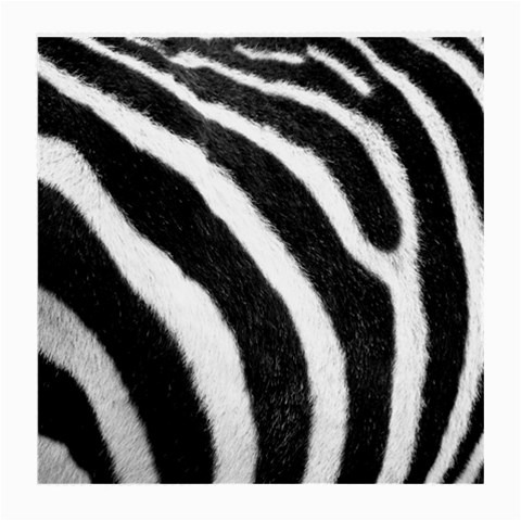 Zebra Glasses Cloth (Medium) from ArtsNow.com Front