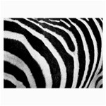 Zebra Glasses Cloth (Large)