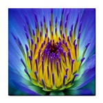 Water Lily Tile Coaster