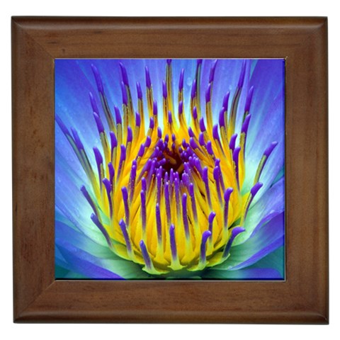 Water Lily Framed Tile from ArtsNow.com Front