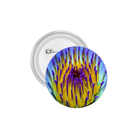 Water Lily 1.75  Button from ArtsNow.com Front