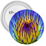 Water Lily 3  Button