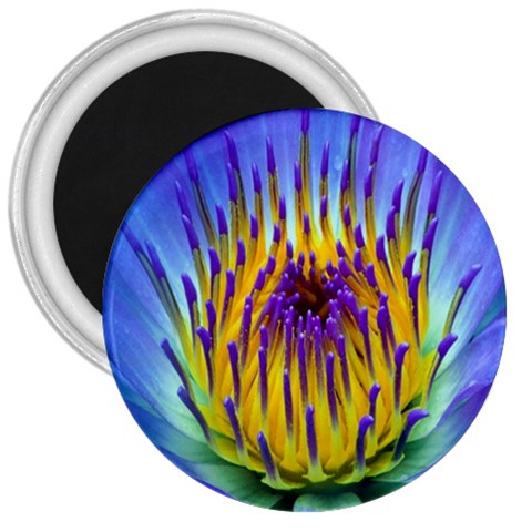 Water Lily 3  Magnet from ArtsNow.com Front