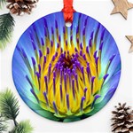 Water Lily Ornament (Round)