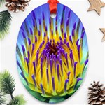 Water Lily Ornament (Oval)