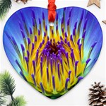 Water Lily Ornament (Heart)