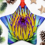 Water Lily Ornament (Star)