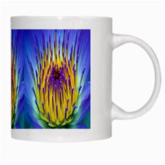 Water Lily White Mug from ArtsNow.com Right
