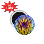 Water Lily 1.75  Magnet (10 pack) 