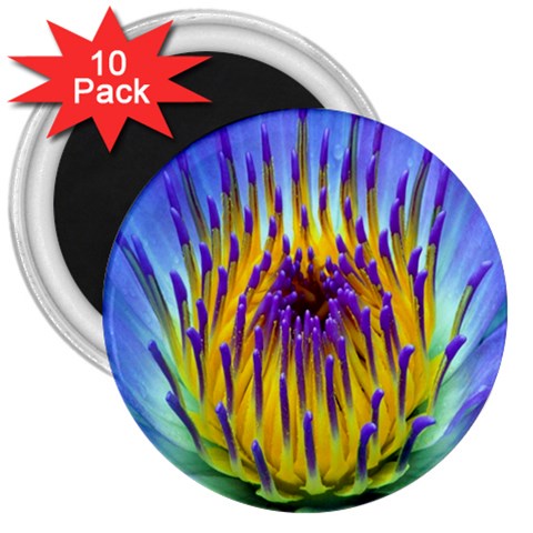 Water Lily 3  Magnet (10 pack) from ArtsNow.com Front