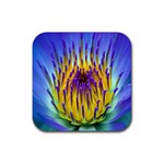 Water Lily Rubber Coaster (Square)