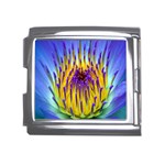 Water Lily Mega Link Italian Charm (18mm)