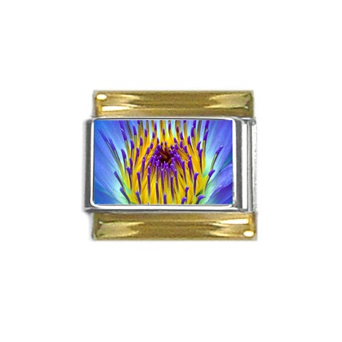 Water Lily Gold Trim Italian Charm (9mm) from ArtsNow.com Front