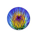 Water Lily Rubber Coaster (Round)