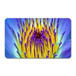 Water Lily Magnet (Rectangular)