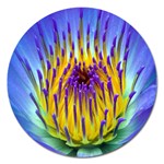 Water Lily Magnet 5  (Round)