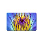 Water Lily Magnet (Name Card)