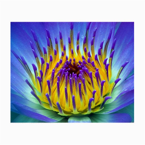 Water Lily Glasses Cloth (Small, Two Sides) from ArtsNow.com Front