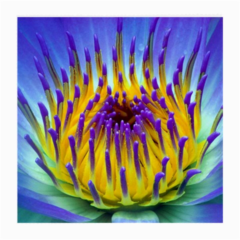Water Lily Glasses Cloth (Medium) from ArtsNow.com Front