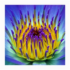 Water Lily Glasses Cloth (Medium, Two Sides) from ArtsNow.com Back