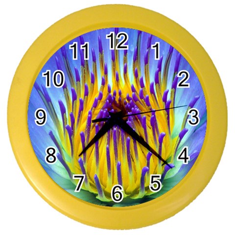 Water Lily Color Wall Clock from ArtsNow.com Front