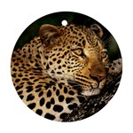 Male Leopard Ornament (Round)