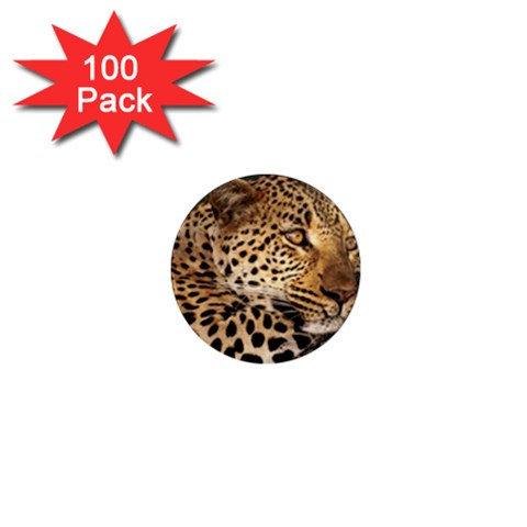 Male Leopard 1  Mini Magnet (100 pack)  from ArtsNow.com Front