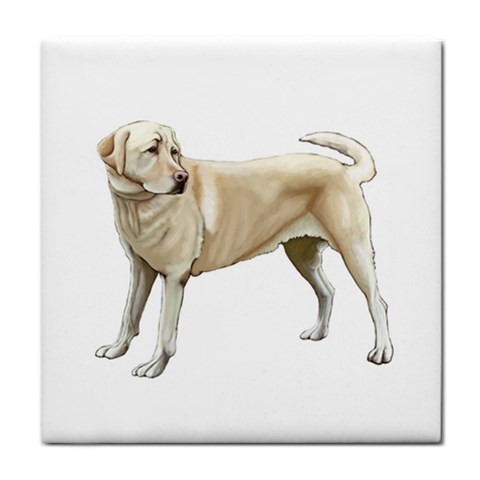 BW Yellow Labrador Retriever Dog Gifts Tile Coaster from ArtsNow.com Front
