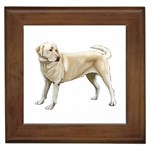 BW Yellow Labrador Retriever Dog Gifts Framed Tile