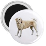 BW Yellow Labrador Retriever Dog Gifts 3  Magnet