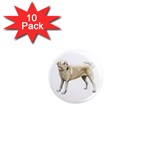 BW Yellow Labrador Retriever Dog Gifts 1  Mini Magnet (10 pack) 