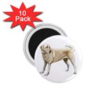 BW Yellow Labrador Retriever Dog Gifts 1.75  Magnet (10 pack) 