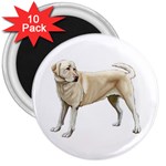 BW Yellow Labrador Retriever Dog Gifts 3  Magnet (10 pack)