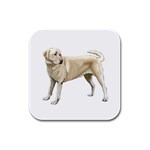 BW Yellow Labrador Retriever Dog Gifts Rubber Square Coaster (4 pack)