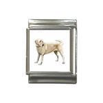 BW Yellow Labrador Retriever Dog Gifts Italian Charm (13mm)