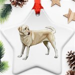 BW Yellow Labrador Retriever Dog Gifts Star Ornament (Two Sides)