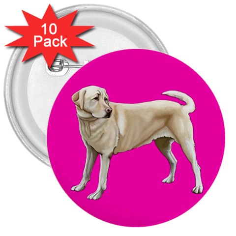 BP Yellow Labrador Retriever Dog Gifts 3  Button (10 pack) from ArtsNow.com Front