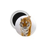 Tiger 1.75  Magnet