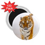 Tiger 2.25  Magnet (100 pack) 