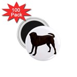 BW Chocolate Labrador Retriever Dog Gifts 1.75  Magnet (100 pack) 