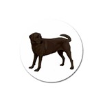 BW Chocolate Labrador Retriever Dog Gifts Magnet 3  (Round)