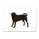 BW Chocolate Labrador Retriever Dog Gifts Sticker A4 (100 pack)