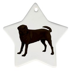 BW Chocolate Labrador Retriever Dog Gifts Star Ornament (Two Sides) from ArtsNow.com Front